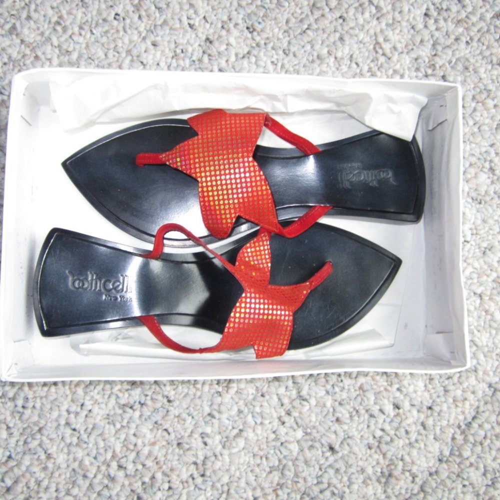 Roberto Botticelli Thong Sandal